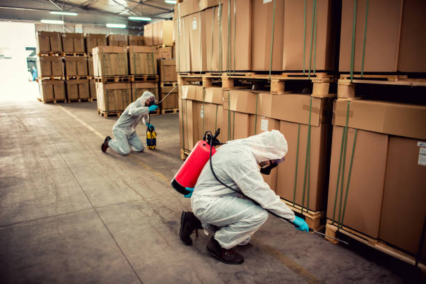 Best Residential Pest Control  in Golden Glades, FL