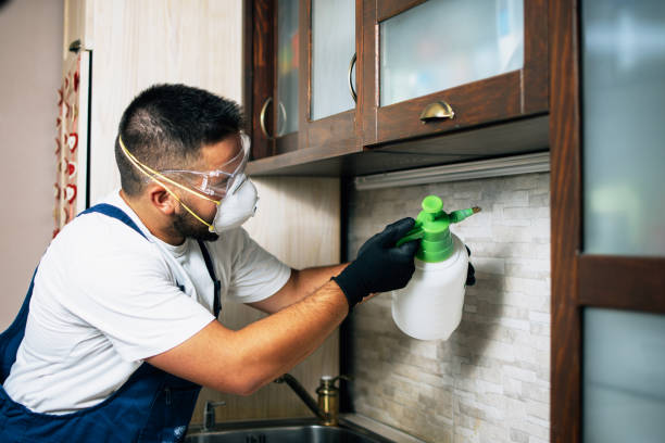 Best Pest Prevention Services  in Golden Glades, FL