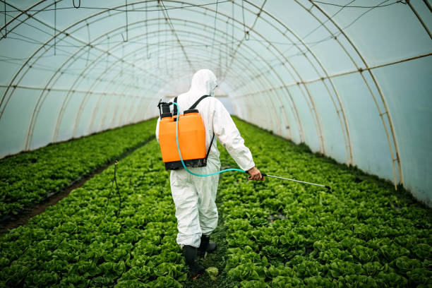 Best Affordable Pest Control Services  in Golden Glades, FL