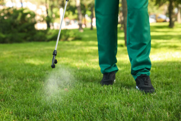 Best Cockroach Control Services  in Golden Glades, FL