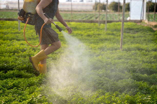 Best Exterminator Services  in Golden Glades, FL