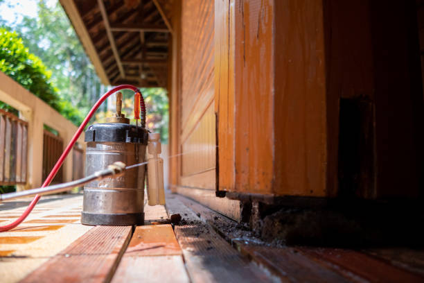 Best Wasp Removal Services  in Golden Glades, FL
