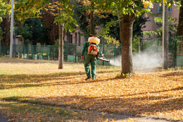 Best Local Pest Control Services  in Golden Glades, FL
