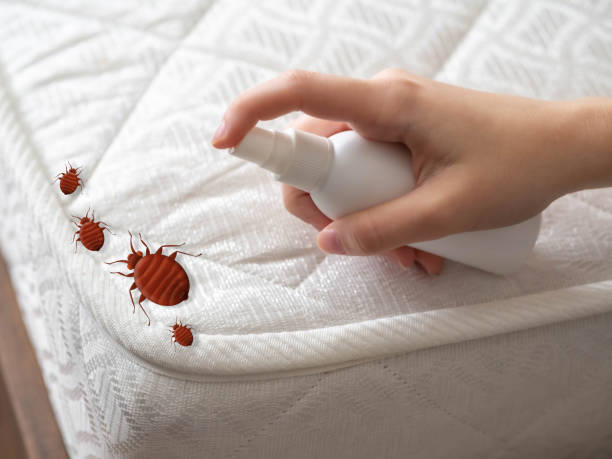 Best Best Pest Control Companies  in Golden Glades, FL