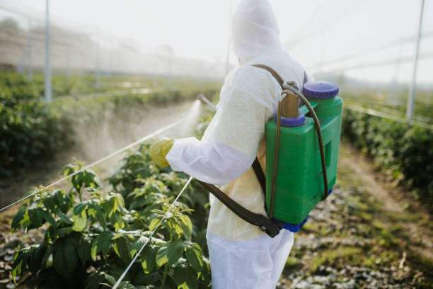  Golden Glades, FL Pest Control Pros
